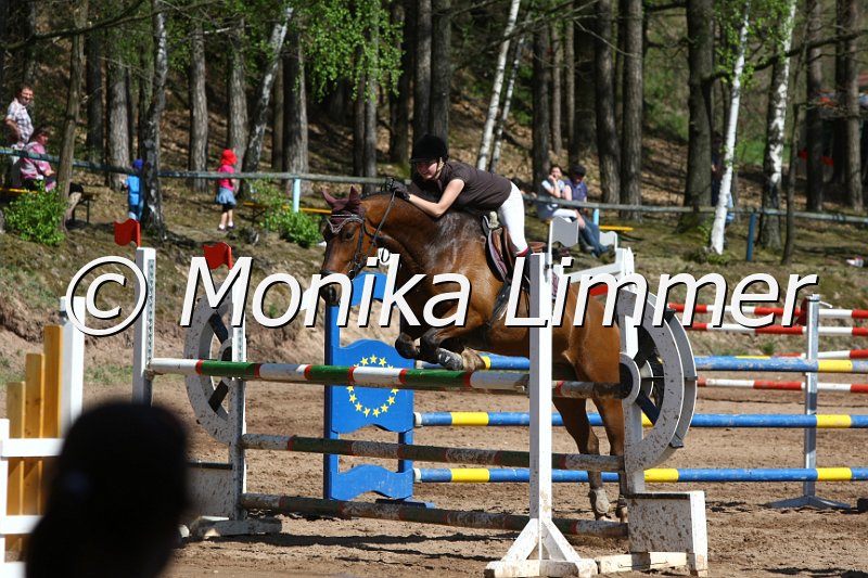 204M8692_Stardust Harry_Stil_L.JPG